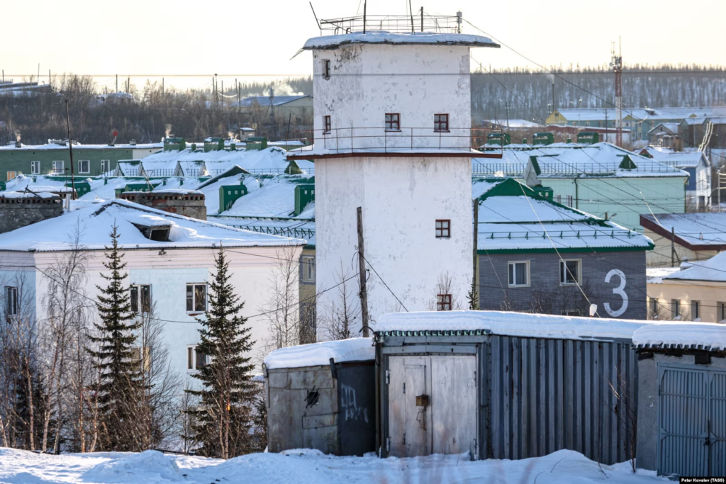 «Путин сам сузил круг подозреваемых до себя самого». Роман Доброхотов — об идентификации яда, которым был убит Алексей Навальный