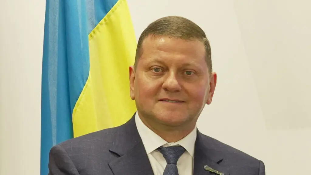 Экс-главком ВСУ Залужный назвал «опасным и неверным» мнение, что Россия проиграла войну