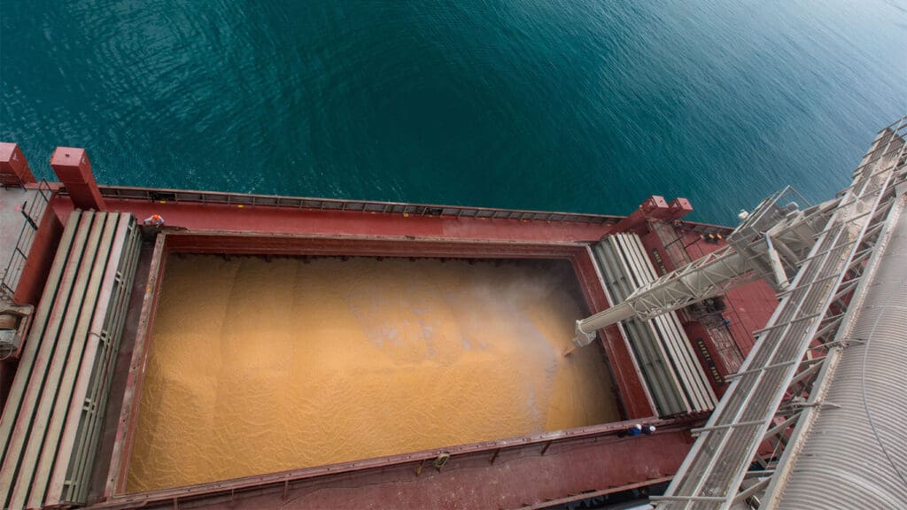 «Продать некому». Блокада Азовского моря обвалила экспорт российской пшеницы до минимума за десятилетие