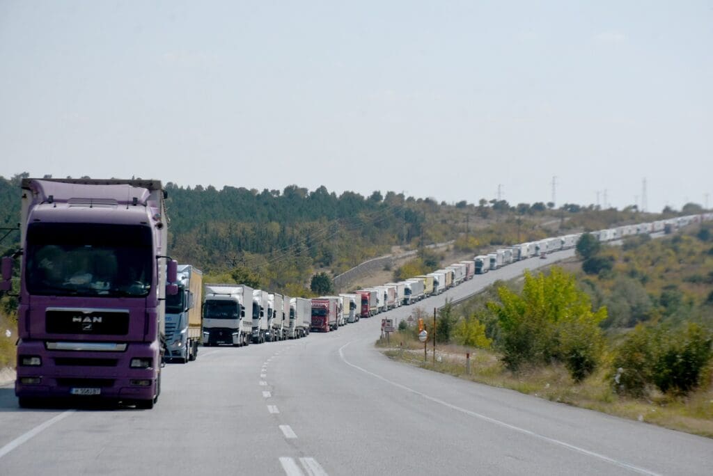 „Surprize” într-un camion cu smochine turcești, care se îndrepta spre Germania. Ce urma să să fie adus în UE, printre fructe